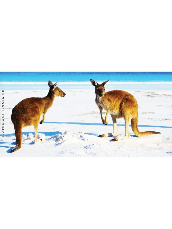 Aussie Mates - Sand Free Beach Towel